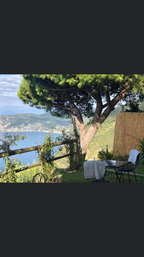 Casa Valeria Vernazza Dış mekan fotoğraf